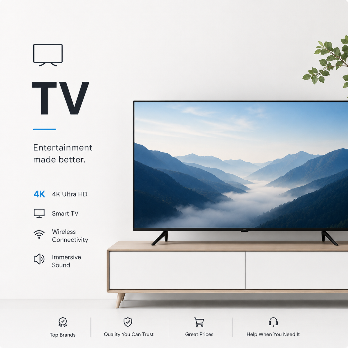 TV